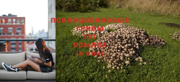 мет Абаза