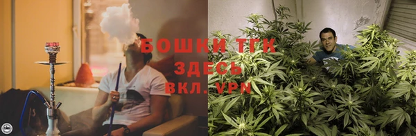 соль курить ск Алзамай
