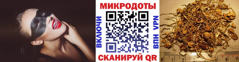 Галлюциногенные грибы мухоморы  Инсар 